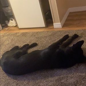 Meet your Posher, Garrett